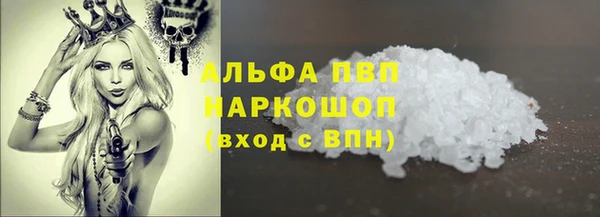 прущие грибы Грязовец